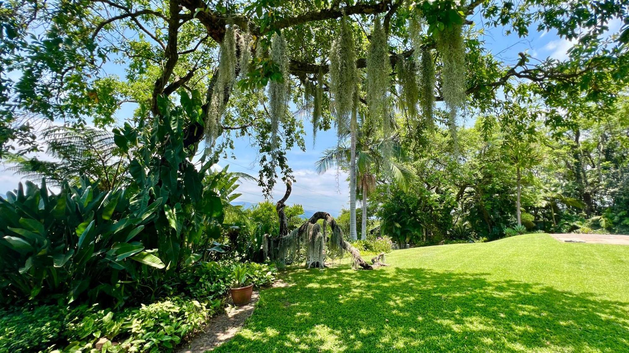 Loerieroep Estate - Mountainview Accommodation Nelspruit Mbombela Zewnętrze zdjęcie